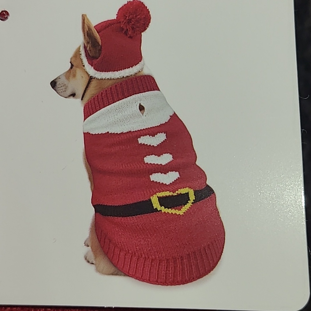 Holiday Red Dog Sweater with Hat